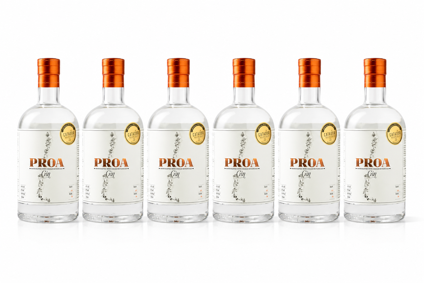 PROA Gin Premium Chileno — Caja 6 × 750ml