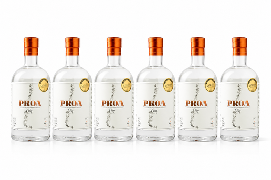 PROA Gin Premium Chileno — Caja 6 × 750ml