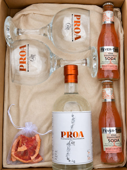 Pack Experiencia Proa Pomelo Spritz