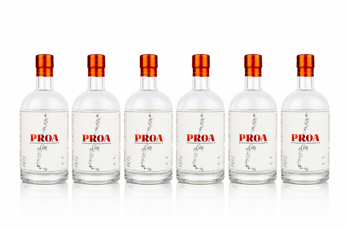 PROA Gin Premium Chileno — Caja 6 × 750ml