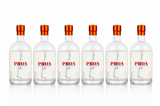 PROA Gin Premium Chileno — Caja 6 × 750ml