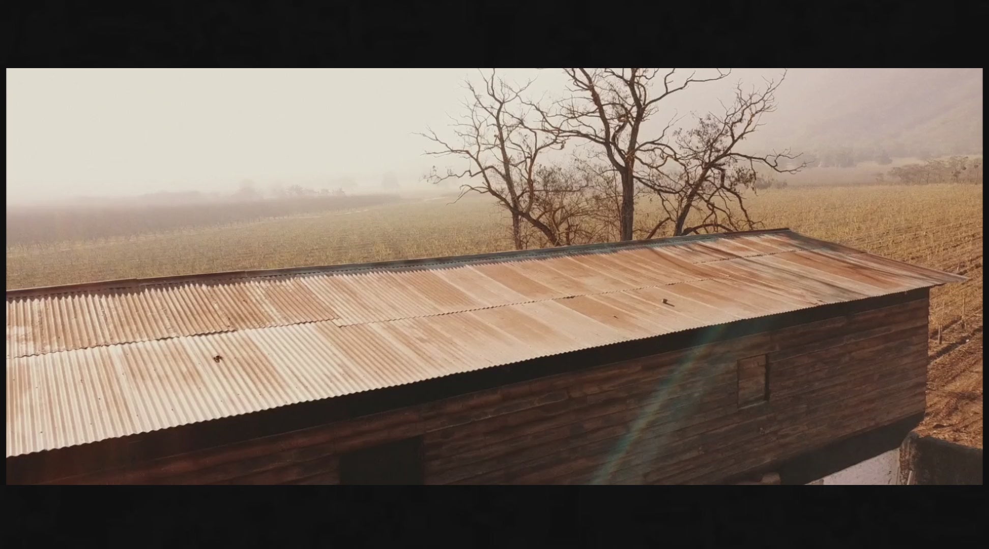Cargar video: 