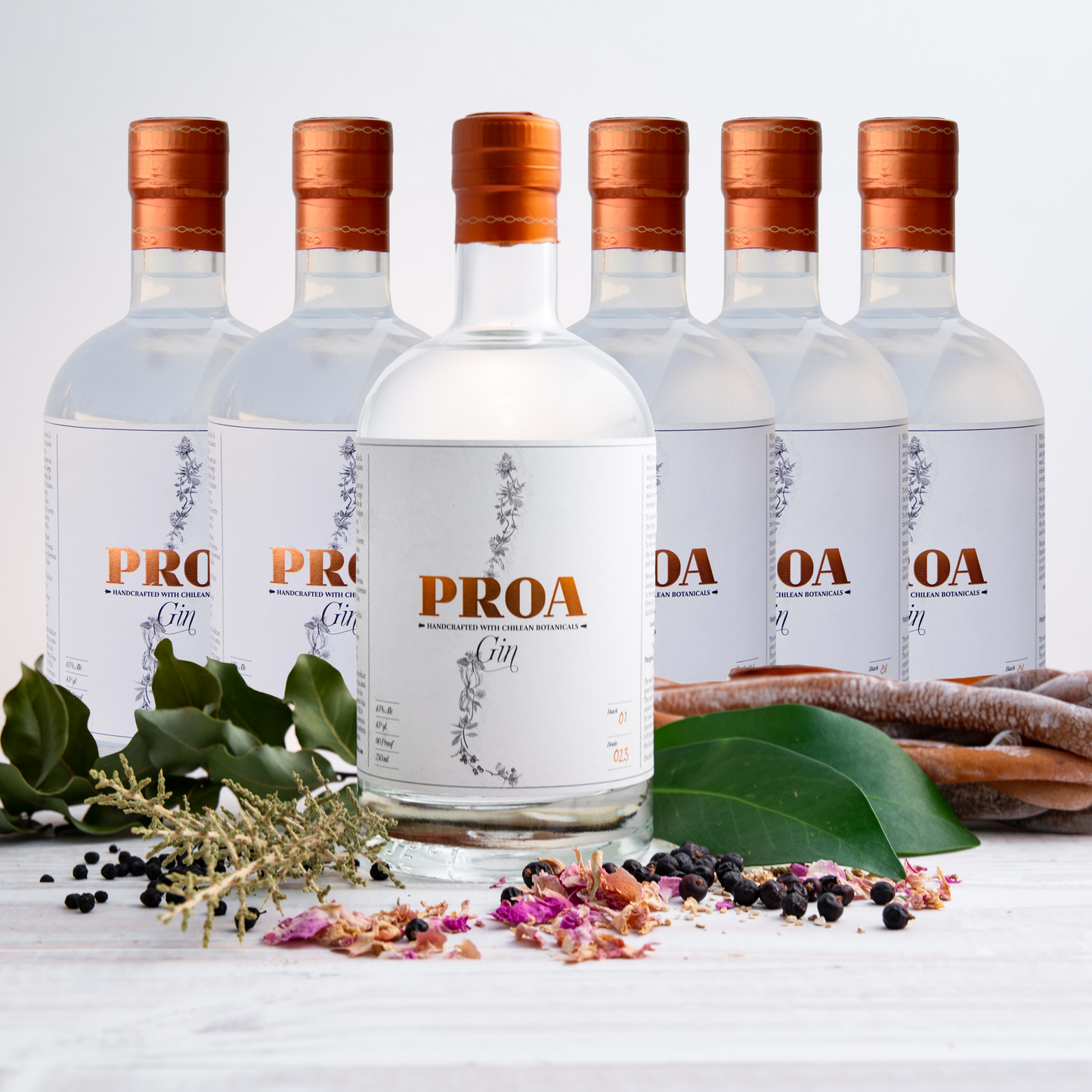 GIN PROA CAJA 6 U.
