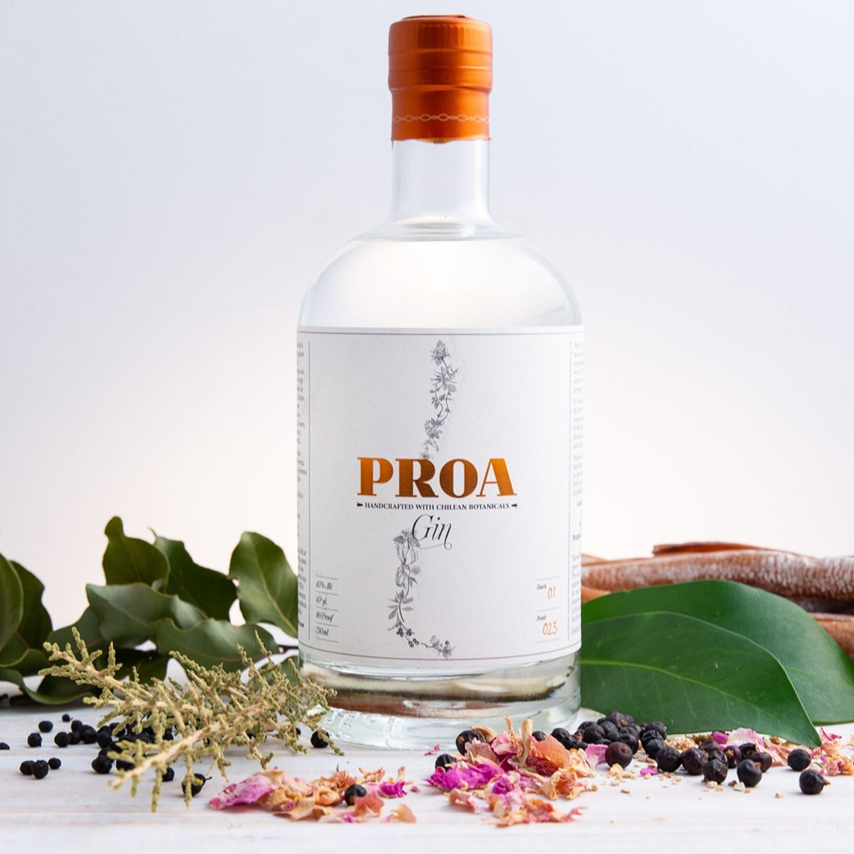 GIN PROA